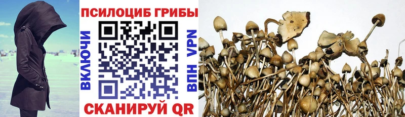 Галлюциногенные грибы Magic Shrooms Чулым